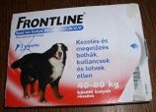 frontline 40-60.jpg
